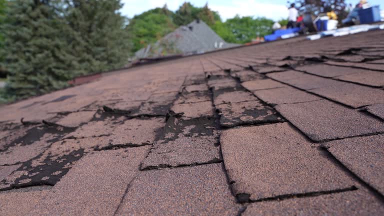 Waterproofing in Reidsville, GA