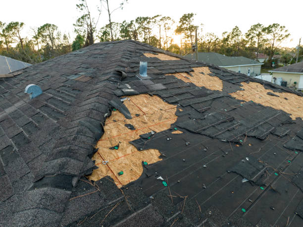 Best Skylight Installation and Repair  in Reidsville, GA